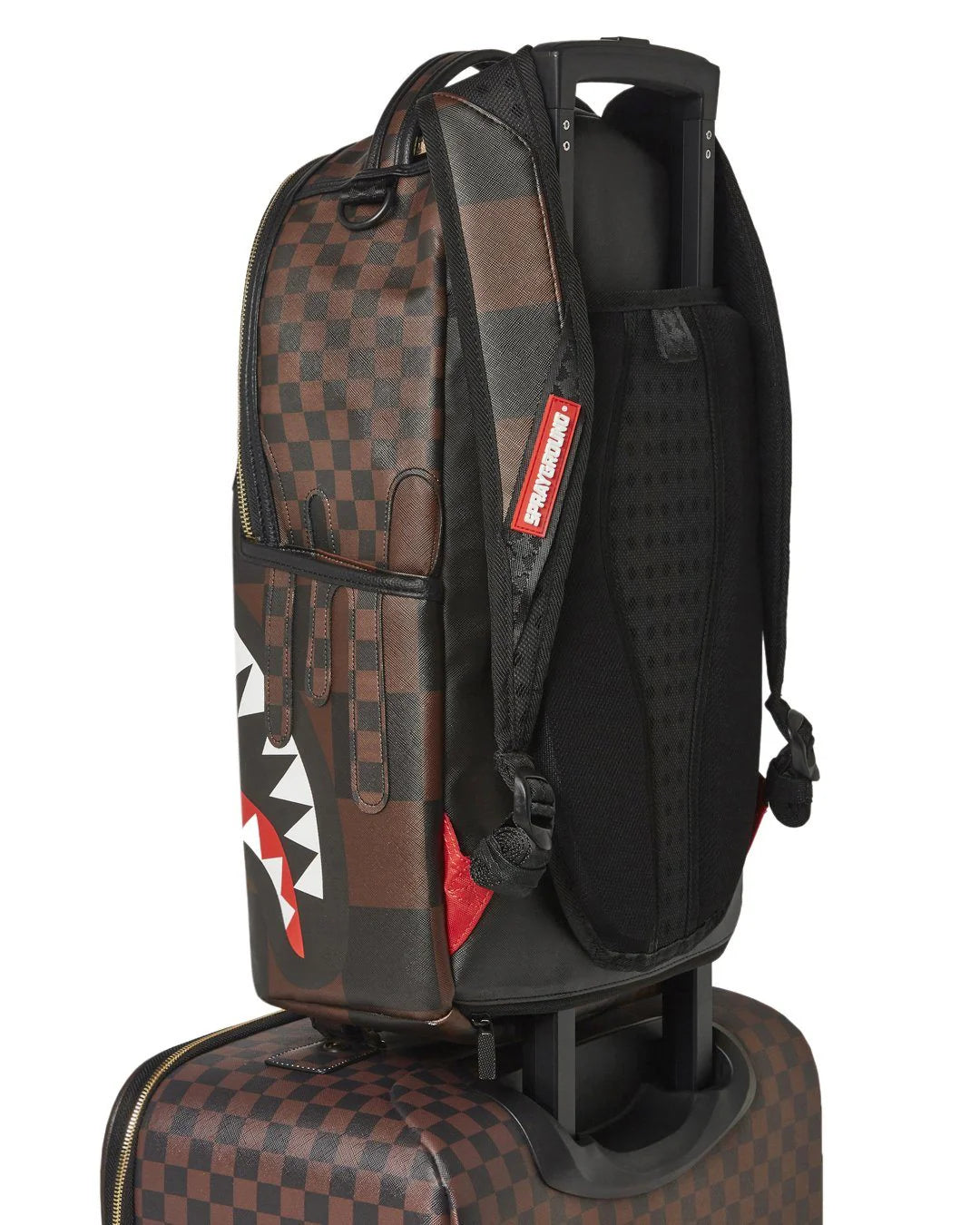XTC SHARKS IN PARIS JETSETTER CARRY-ON LUGGAGE - Image 3