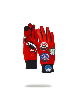 THE GLOBAL EXPEDITION GLOVES
