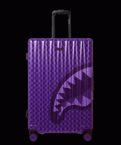 ALL SYSTEMS GO FULL-SIZE LUGGAGE