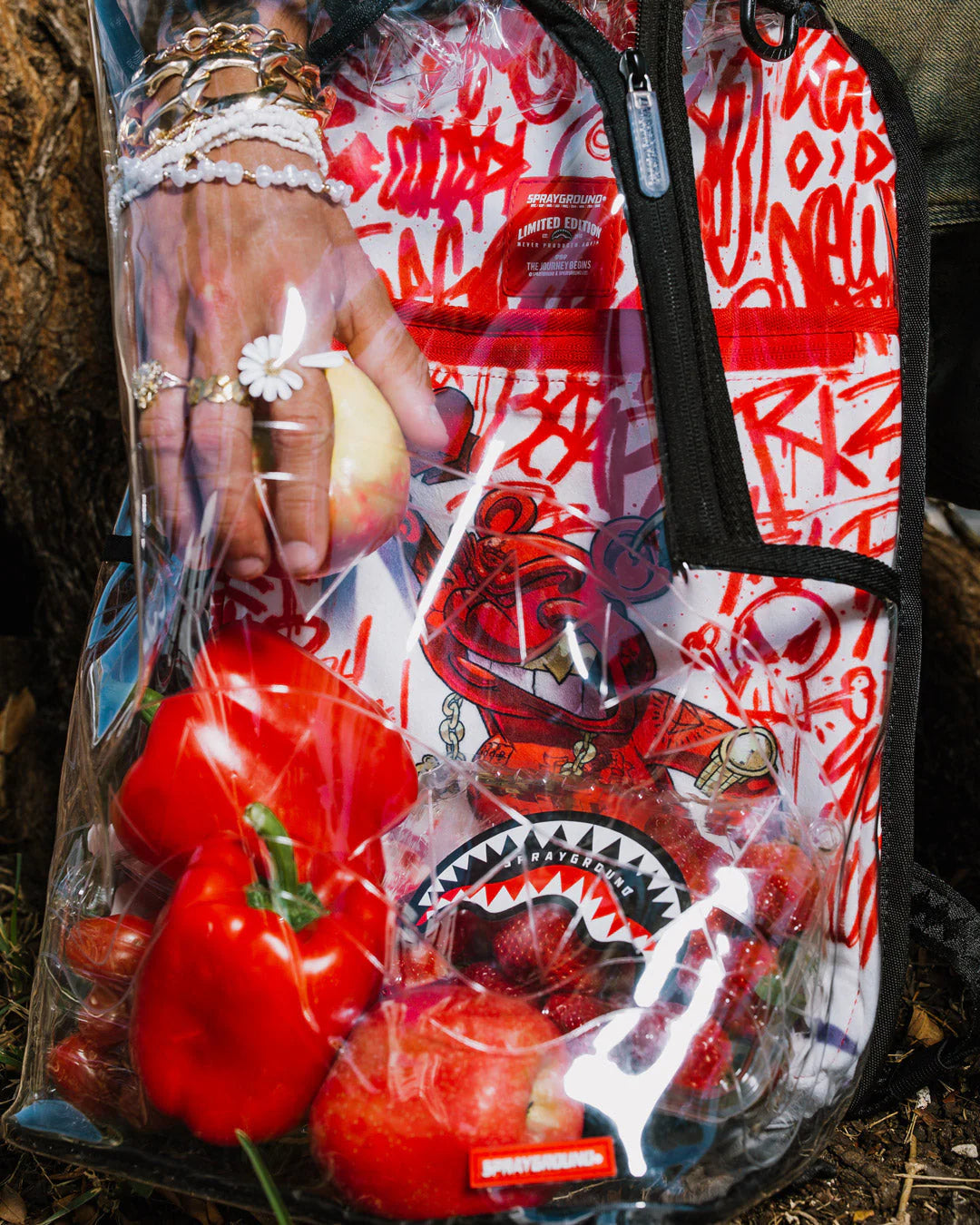 CLEAR BACKPACK - DIABLO GALLERY - Image 4