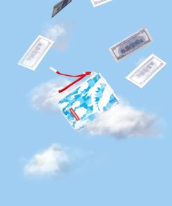 SKYBORNE WALLET