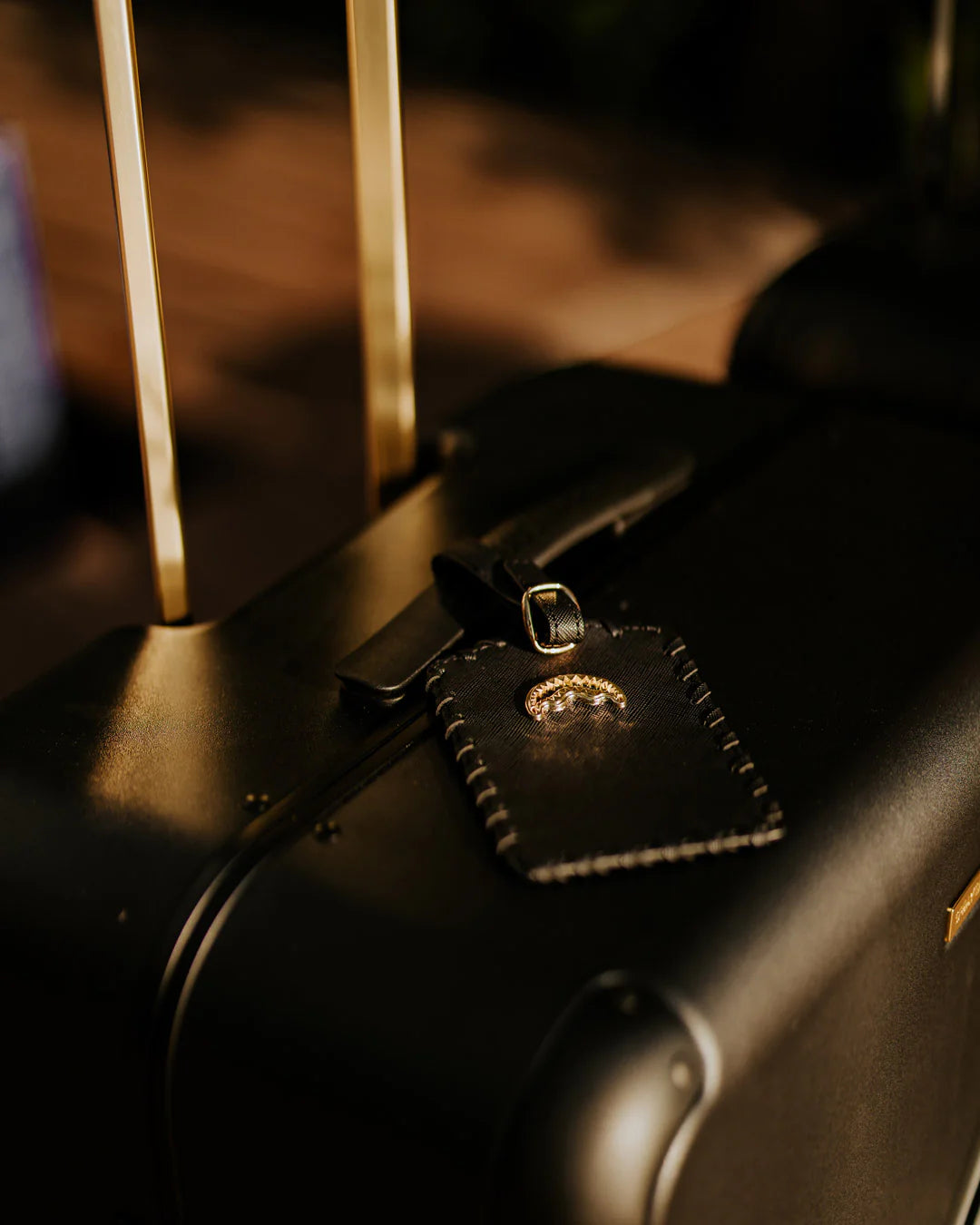 REALITY CHECK SHARKITECTURE CARRY-ON JETBLACK LUGGAGE (GOLD HARDWARE) - Image 11