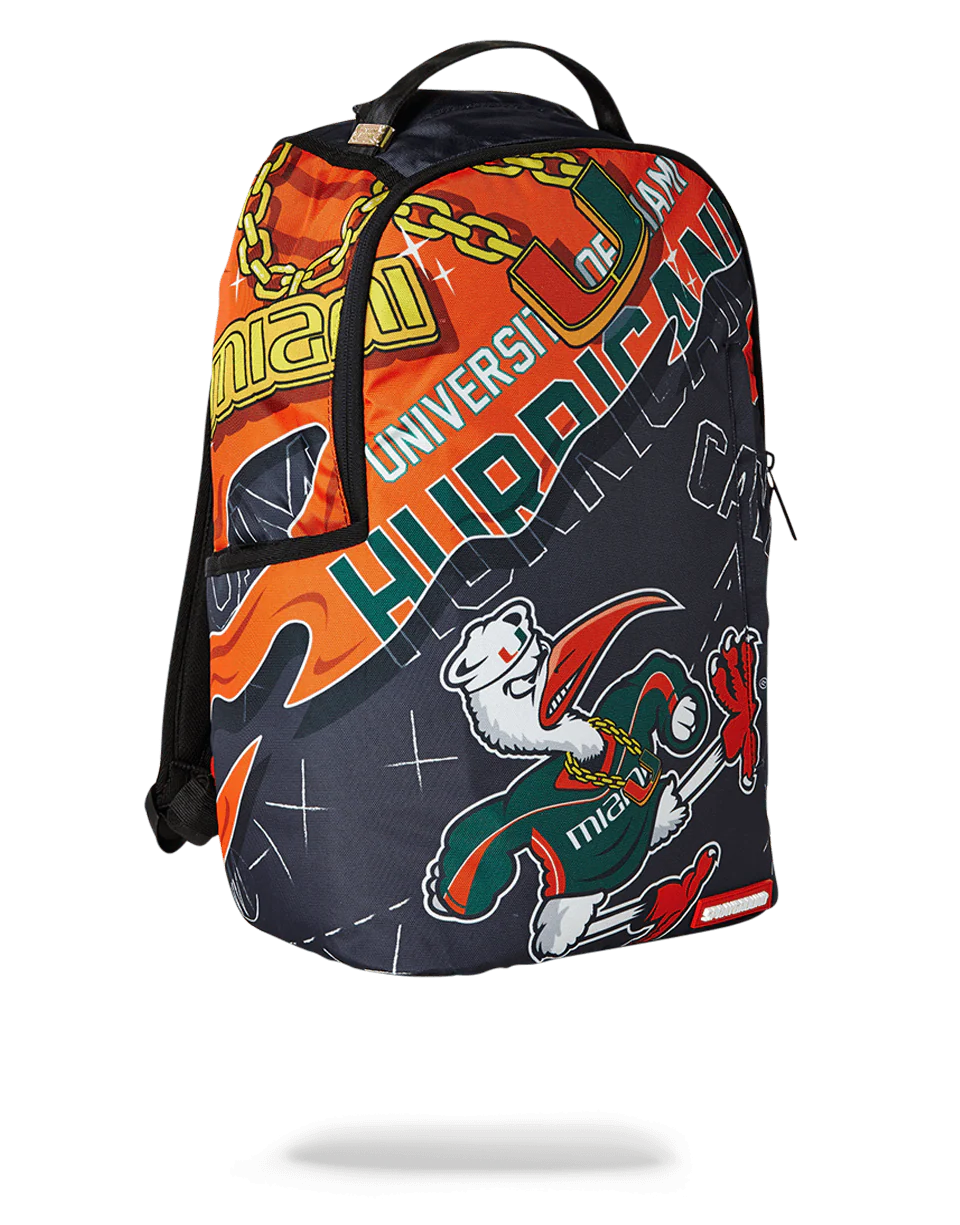 UNIVERSITY OF MIAMI - Image 4