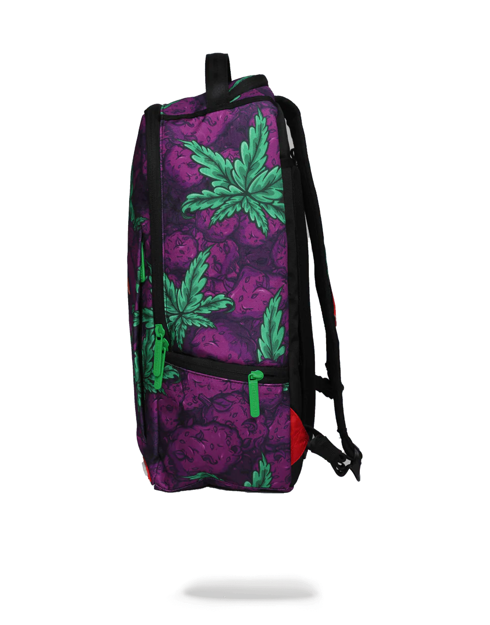 QUEEN INDICA - Image 5