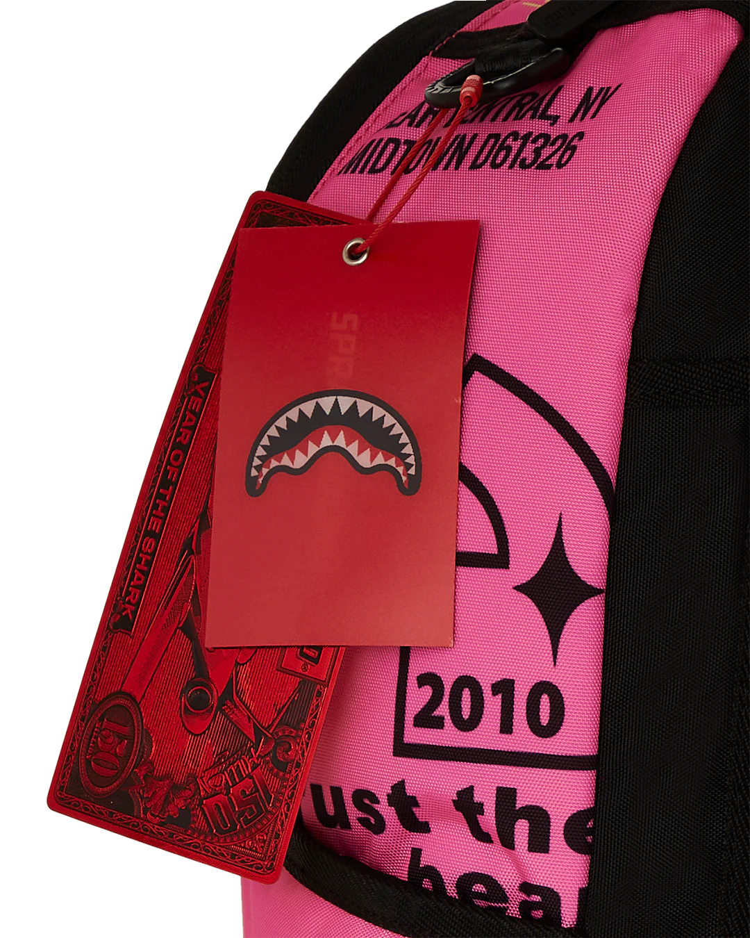 FUTURE FLEX BEAR BACKPACK - Image 10