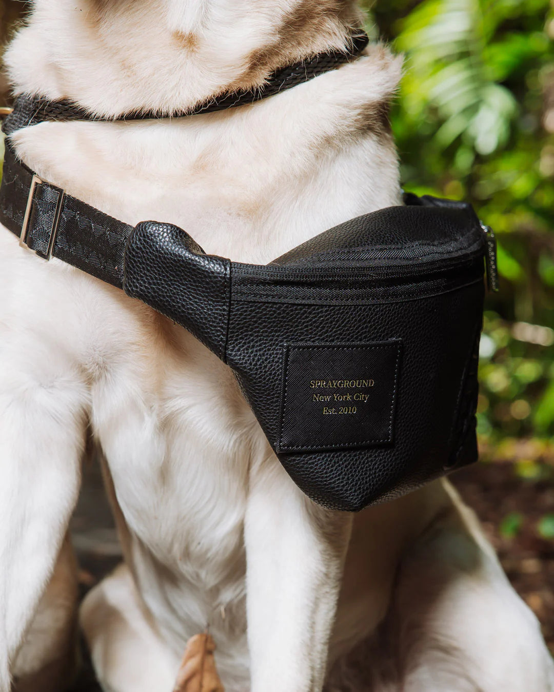 THE HQ SAVVY CROSSBODY - Image 8