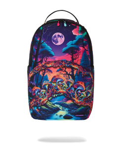 EARTHING DLXR BACKPACK