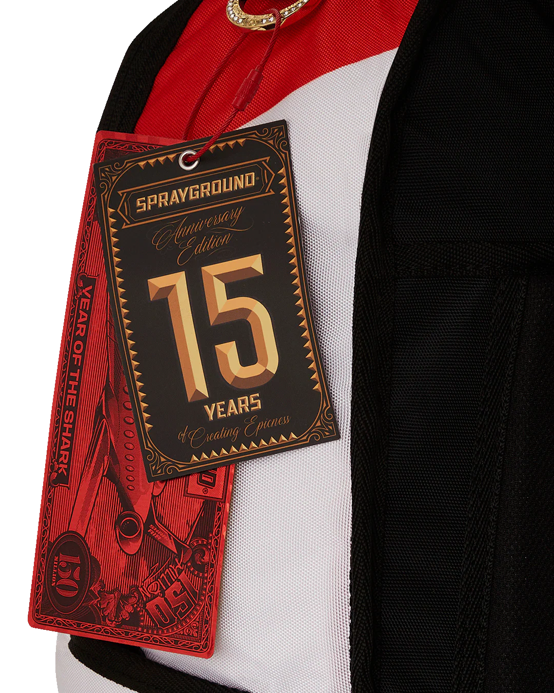 THE SCROLL OF 15 YEARS DLXV BACKPACK (SUPER RARE) - Image 20